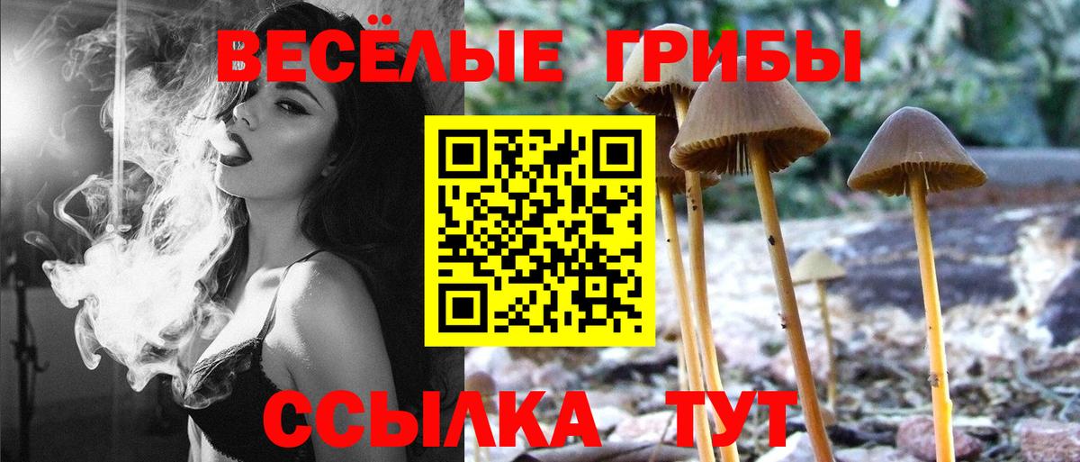 Псилоцибиновые грибы Psilocybine cubensis Коряжма
