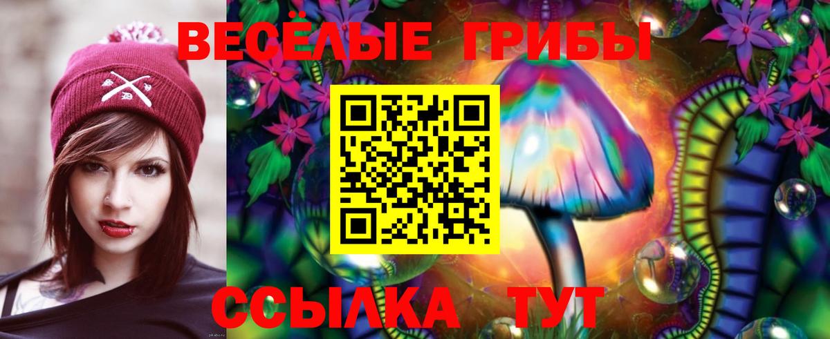 Галлюциногенные грибы прущие грибы  Вход с VPN  Коряжма 